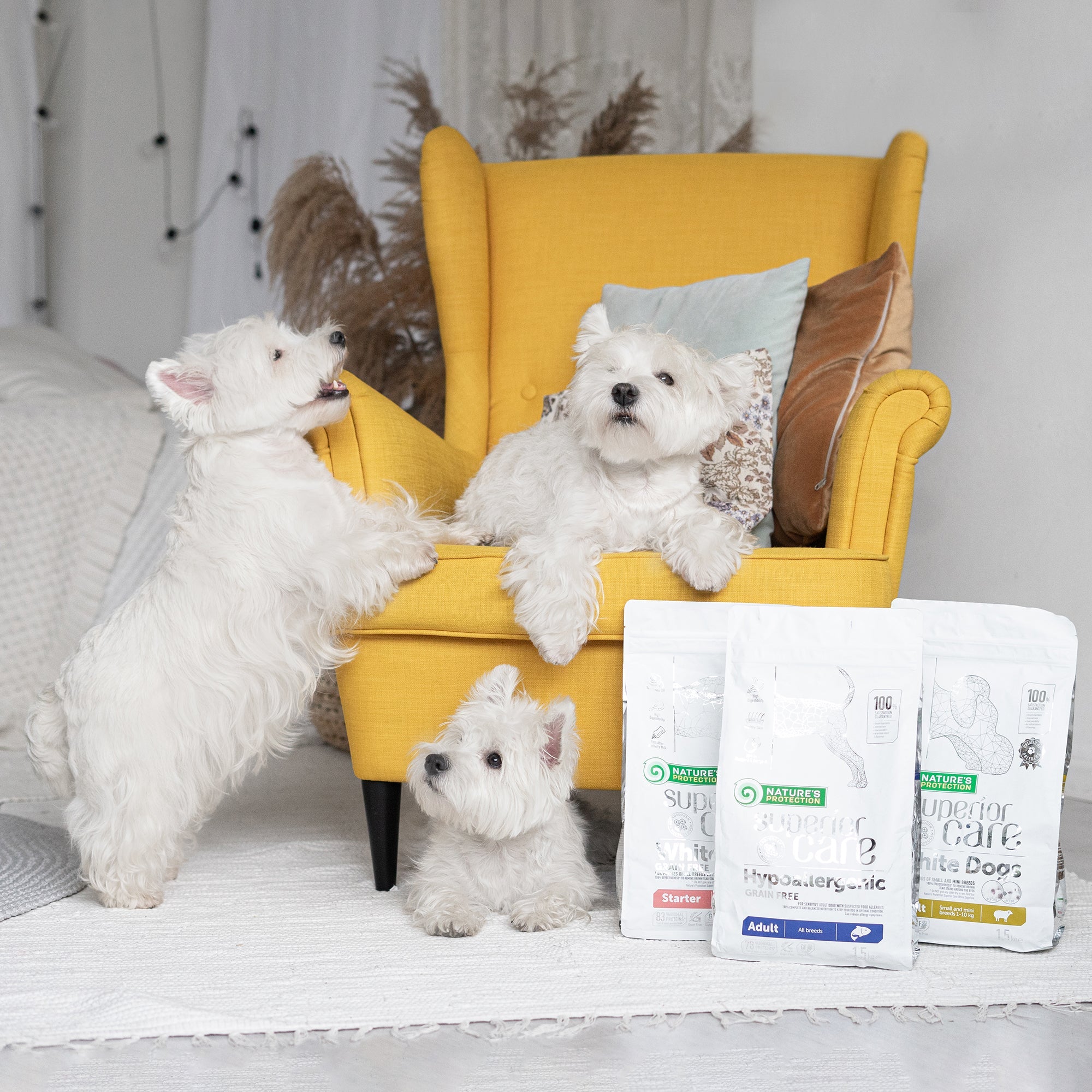 Nature's Protection Superior Care Hypoallergenic Grain Free Salmon Adult All Breeds